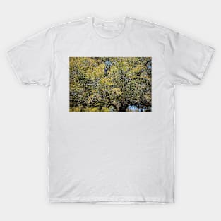 Colorful Tree In The Spring T-Shirt